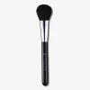 A19 Pro Brush Blush Brush