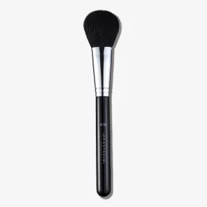 A19 Pro Brush Blush Brush
