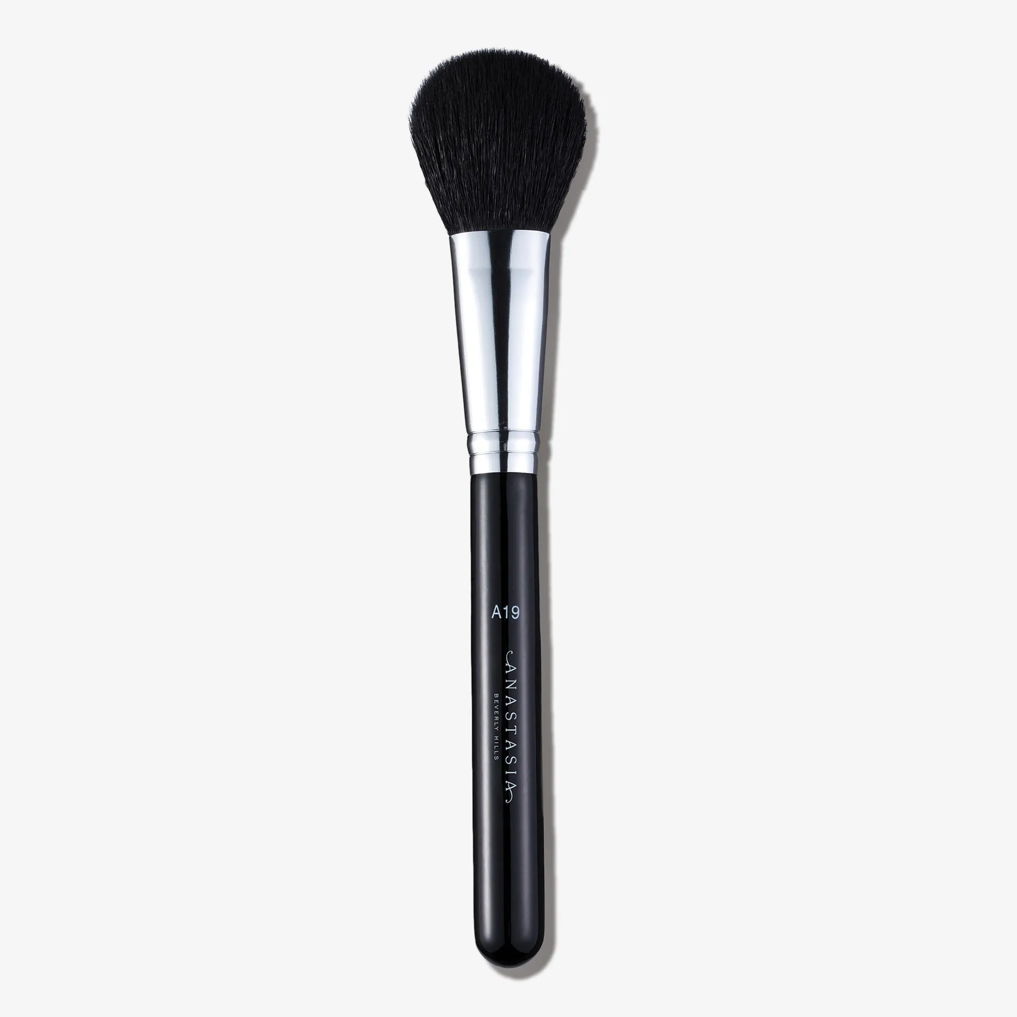 A19 Pro Brush Blush Brush